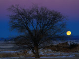 Moonrise Over the Landscape  Pueblo  Colorado  USA