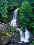 Cascading Waterfall Through Rainforest  Mt Rainier National Park  USA