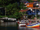 Colourful Fishing Boats Docked in the Harbour  Florianopolis  Brazil