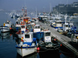 Fishing Boats in the Harbour  Concarneau  Brittany  France