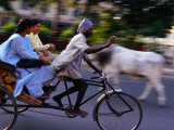 Young Women on Cycle Rickshaw  Lucknow  Uttar Pradesh  India