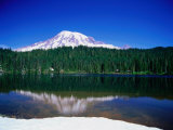 Mt Rainier from Reflection Lake  Mt Rainier National Park  USA