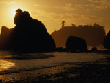 Ruby Beach at Sunset  Olympic National Park  USA