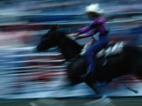 Rider in Rodeo at the Calgary Stampede  Calgary  Canada