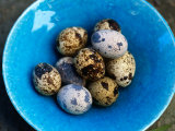 Uzura Tamago  Quail Eggs  Are Considered a Delicacy and Usually Eaten Hard-Boiled  Japan 