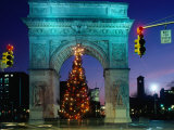 Decorated Christmas Tree in Washington Square Park  New York City  New York  USA