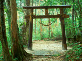 Mountain Shrine  Yakushima  Kagoshima  Japan