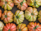 Tomatoes  Positano  Amalfi Coast  Campania  Italy