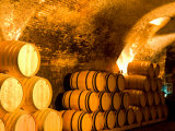 19th Century Wine Cellar  Juanico Winery  Uruguay