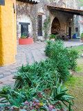 Grounds and Buildings of Historic La Valenciana Mine  Guanajuato State  Mexico
