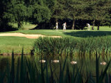 Golfers on the 17th Hole of the Eastmoreland Golf Course  Portland  Oregon  USA