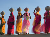 Women Carrying Pottery Jugs of Water  Thar Desert  Jaisalmer  Rajasthan  India