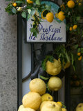 Lemons  Positano  Amalfi Coast  Campania  Italy