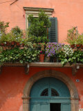 Balcony Garden in Historic Town Center  Verona  Italy