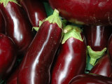 Eggplant For Sale at Market  Bellinzona  Switzerland