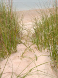 Smyrna Dunes Park  New Smyrna Beach  Florida
