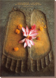 Thich Nhat Hanh  I Have Arrived