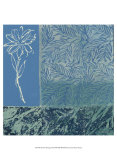 Nature's Montage II