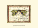 Dragonfly Harmony II