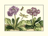 Garden Vignette II
