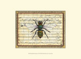 Bumblebee Harmony I