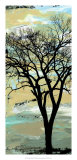 December Morning I