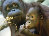 Deu Zoo Berlin