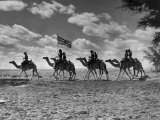 The Camel Corps of the King's African Rifles  October 1945