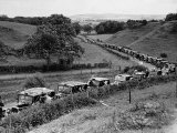 Glasgow Taxis Taking Children from Mearnskirk Hospital on Their Annual Outing to Troon  1955