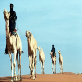 Mali Tribesman Sits on Camel  1987