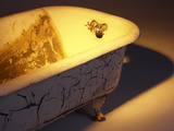 Antique Bathtub