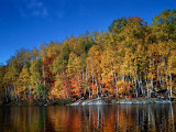 Autumn Scene in Northern Ontario  Canada