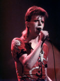 David Bowie