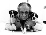 Sid James and His Boxers Dogs Bula and Beaut
