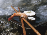 Sushi and Chopsticks Beside Rushing Water