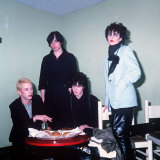 Siouxsie & the Banshees