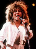Tina Turner in Concert Birmingham