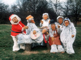 The Wombles