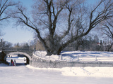 Paterson Creek Along the Rideau Canal  Ottawa  Ontario  Canada