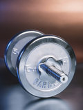 Steel Dumbbell for Workout