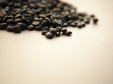 Pile of Coffee Beans