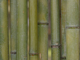 Textured Background