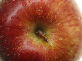 Close-up of a Juicy Red Apple with Shiny Water Droplets