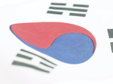 South Korean Flag