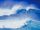 An Ocean Wave in Hawaii