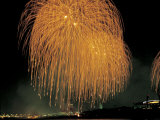 Fireworks in the Night Sky