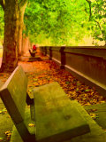 Park Bench in Autumn with Falling Leaves