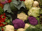 A Colorful Pile of Freshly Harvested Vegetables