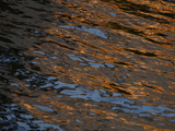 Gold and Blue Sunlight Reflecting on Dark Rippling Water