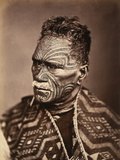 Portrait of a Maori with Tattoed Face